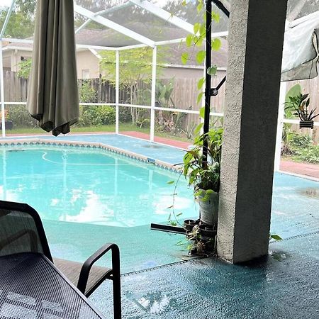 Room In Citrus Park And Carollwood, Close To The Airport & Downtown Tampa Dış mekan fotoğraf