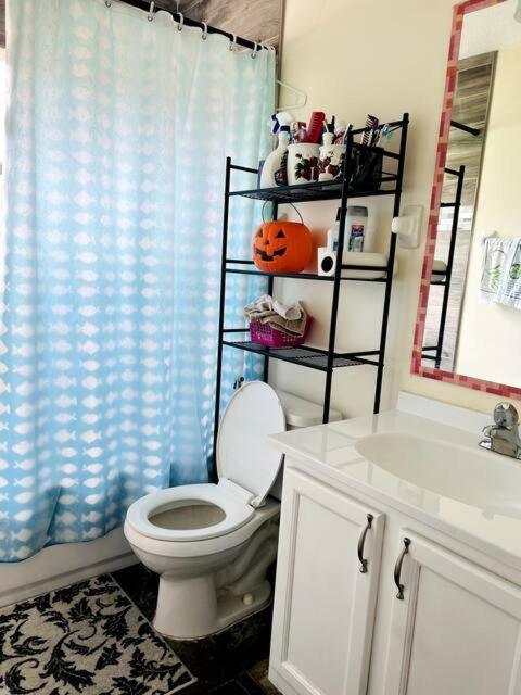 Room In Citrus Park And Carollwood, Close To The Airport & Downtown Tampa Dış mekan fotoğraf
