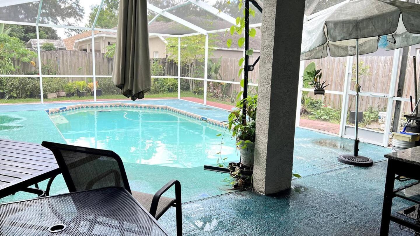 Room In Citrus Park And Carollwood, Close To The Airport & Downtown Tampa Dış mekan fotoğraf