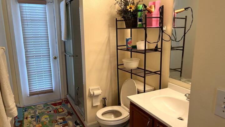 Room In Citrus Park And Carollwood, Close To The Airport & Downtown Tampa Dış mekan fotoğraf
